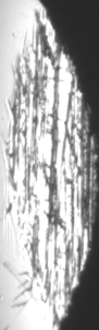 目标.bmp