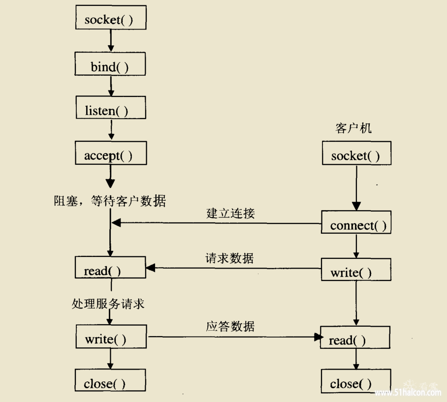 803227_9CJS6P8BCRQHW5R.png