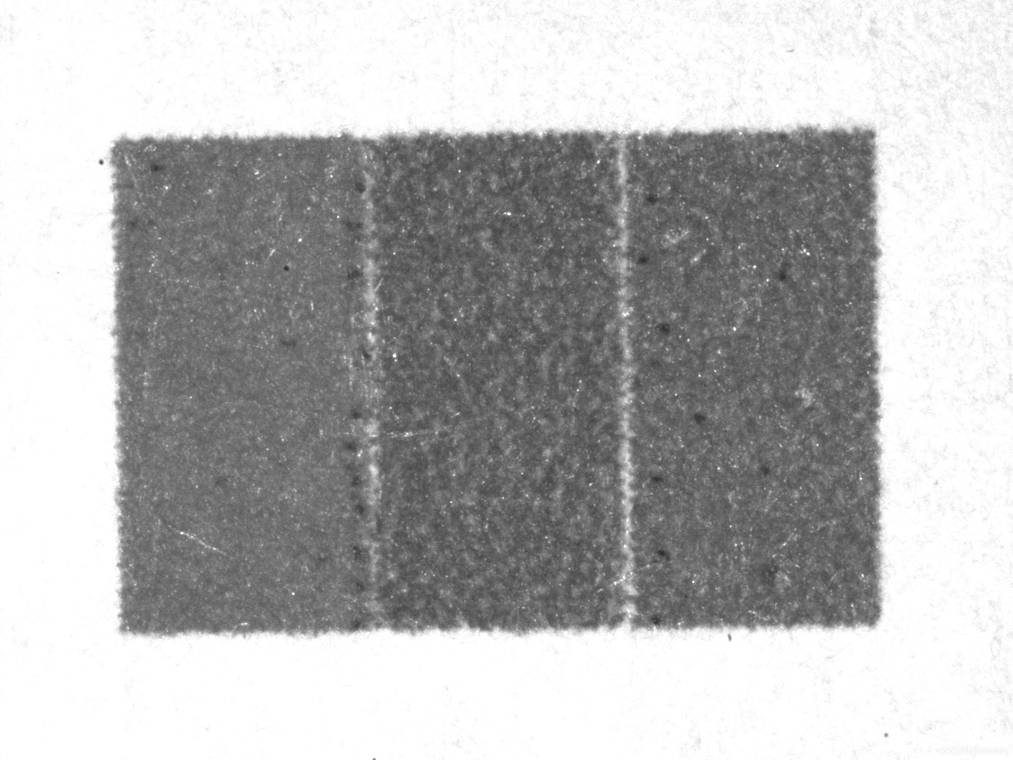 w.jpg