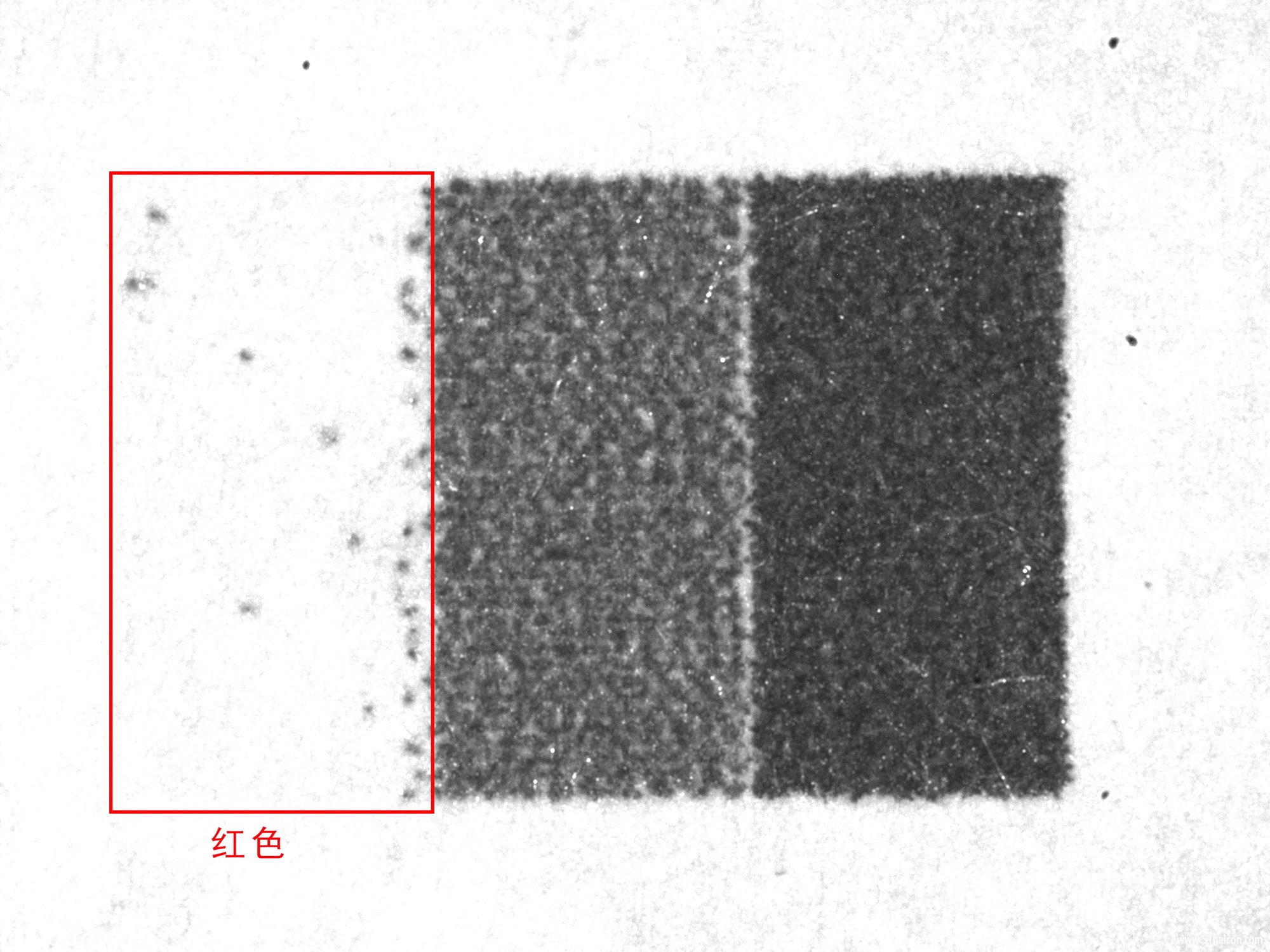 r-红.jpg