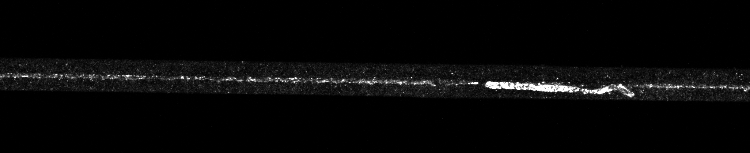0802_B_0000725_0.bmp