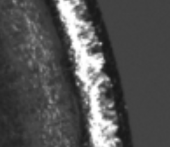 Snipaste_2023-08-11_09-47-32.png