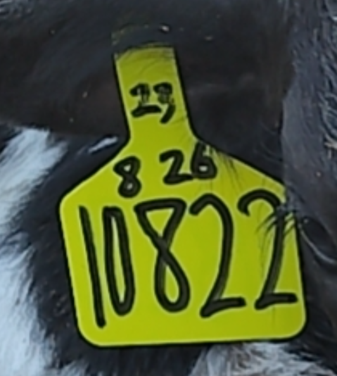 识别数字.png