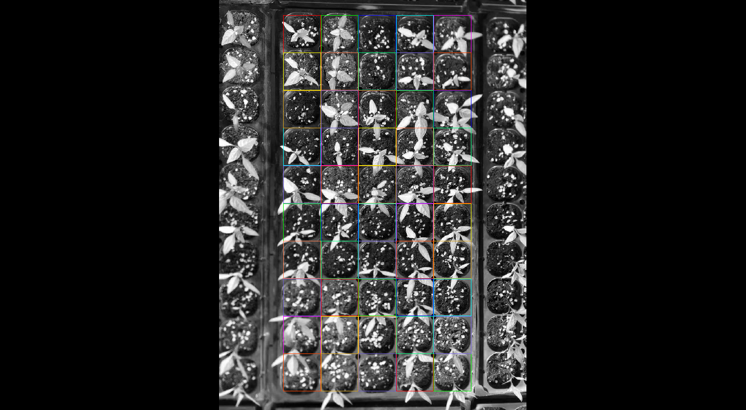 Grid.png