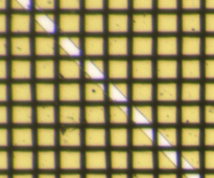 008.jpg