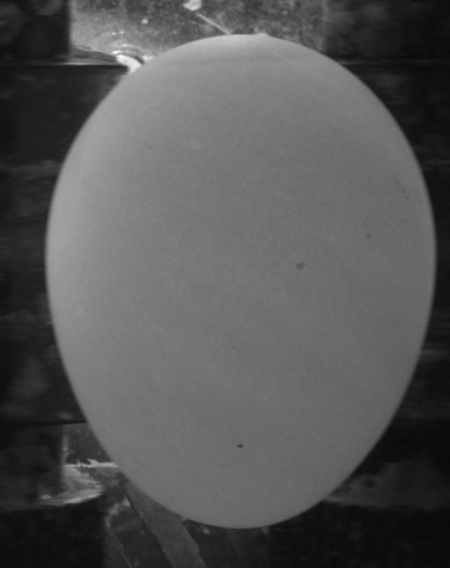 20240316174349.jpg