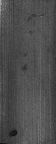 exp1_num_4727.jpg