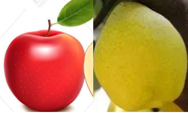 image-20240428203836819.png