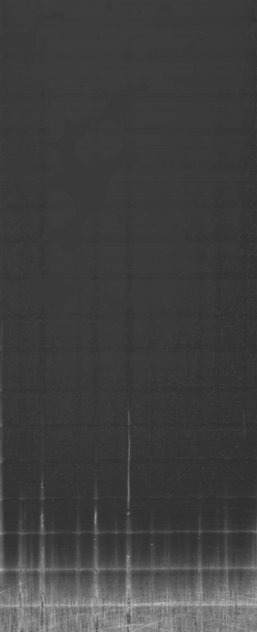 filter_blob.png