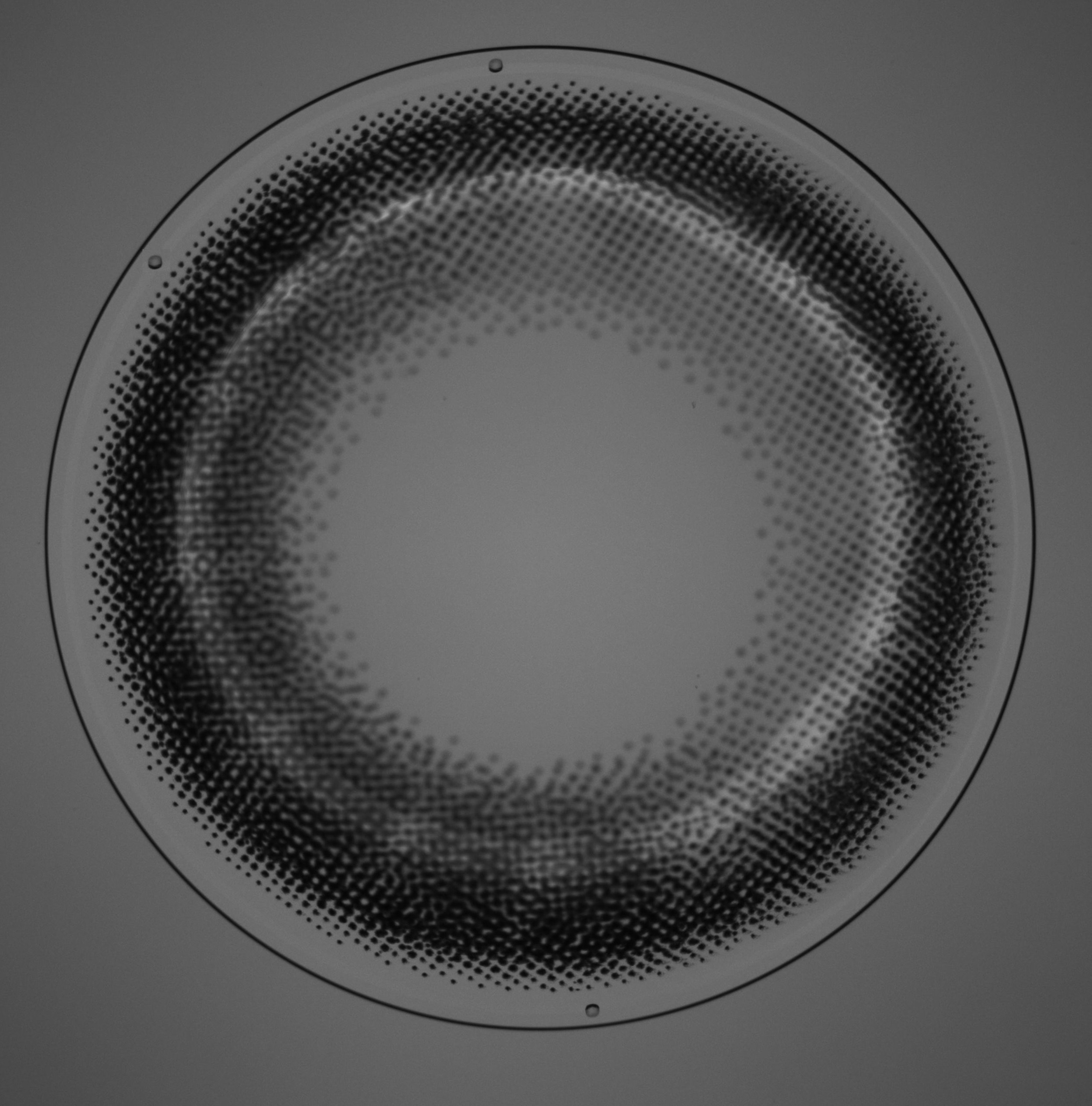 test0001.jpg