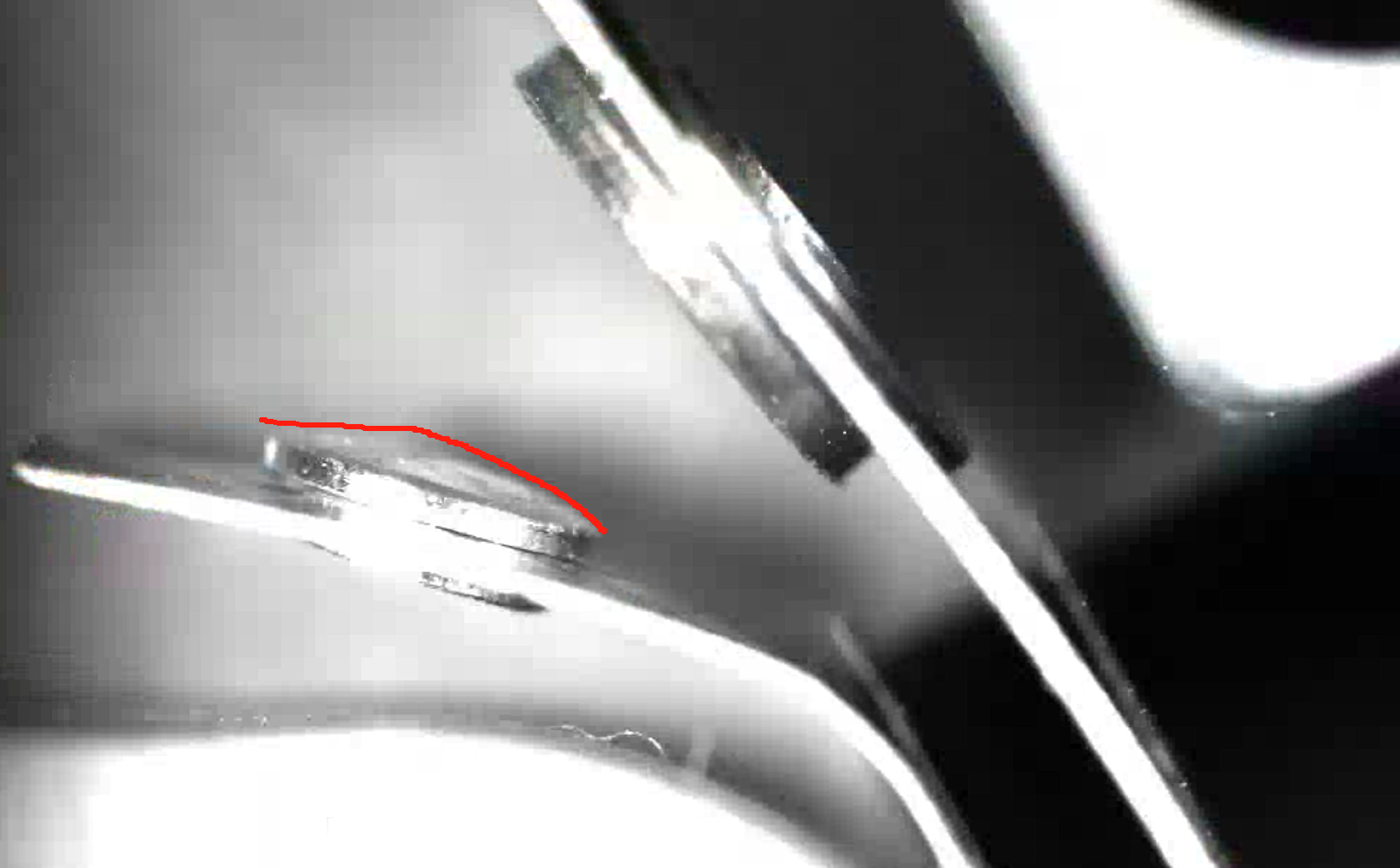 1745029000299.jpg