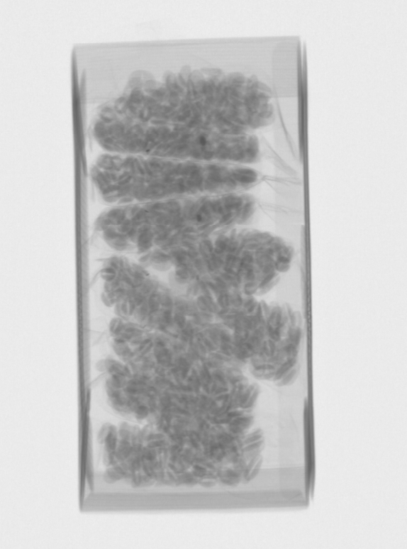 20260331_091041_627.png
